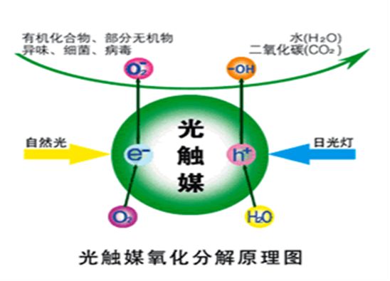 室内除甲醛找广州乐纷环保